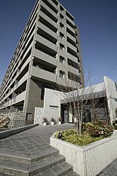 バンベール春田