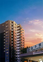 バンベール白子