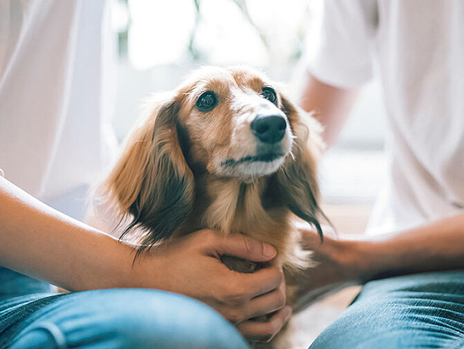 ウィルローズ光が丘 設備