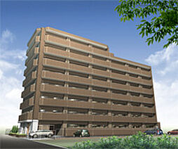 アルファライフ束本