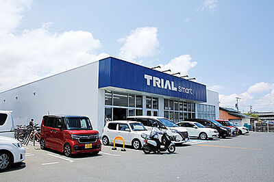 トライアルスマート今宿店 約230m（徒歩3分）