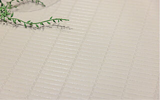 アルファスマート高松駅西II フラッグストーンフロア