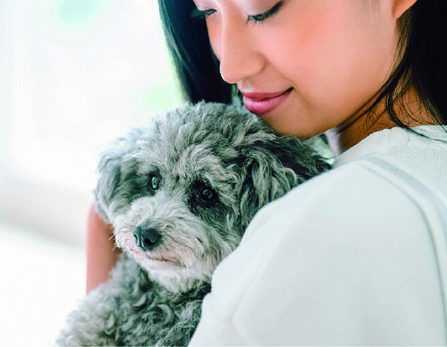 アルファステイツ大元中央公園 設備