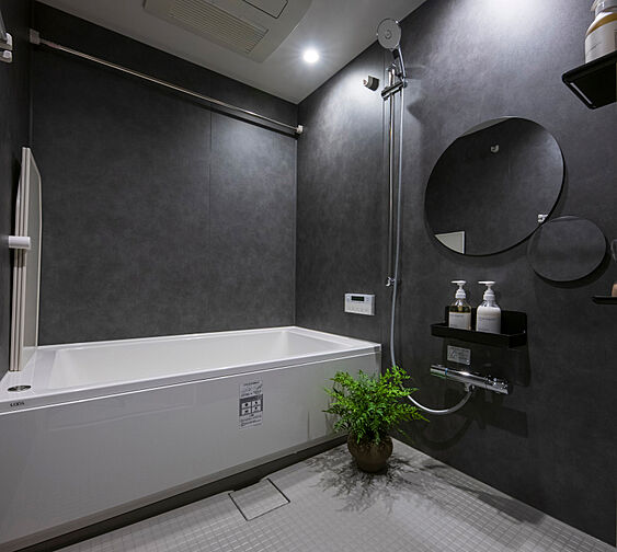 アルファステイツつくばみどりの 専有部