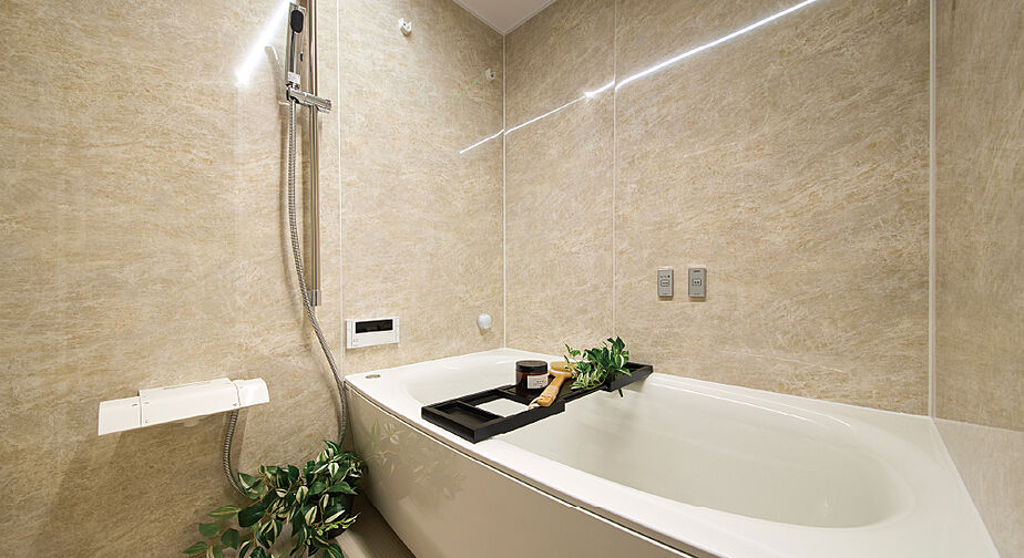 アルファステイツ博多サウス 専有部