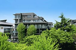 ジオ グランデ茨木東中条 さくら通り