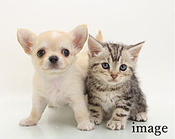 エクセレントシティ羽沢横浜国大 設備