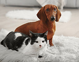 エクセレントシティ幕張本郷パークサイド 設備