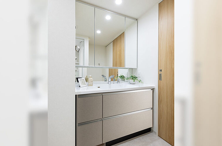 ファミリアーレ八田 パウダールーム