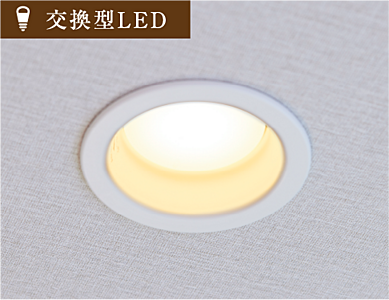 球交換型LEDダウンライト