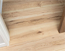 ルピアシェリール八潮 設備