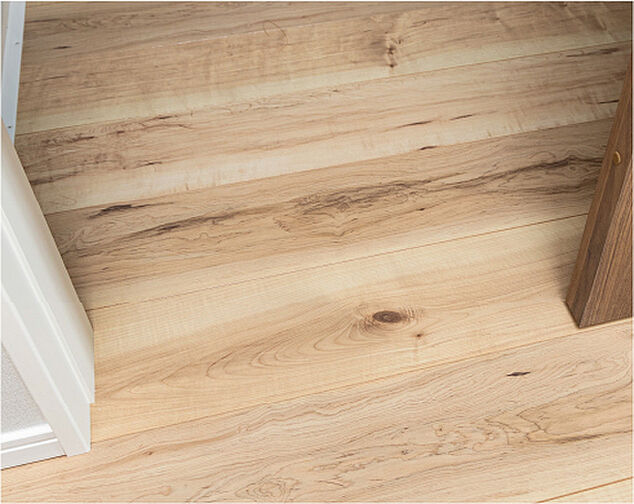 ルピアシェリール八潮 設備