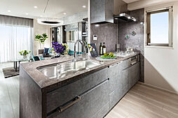 ガーラ・レジデンス船堀ブライト 専有部