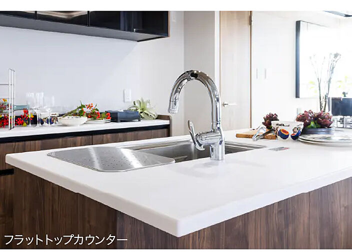 ロイヤルガーデン番町ザ・プレミアム 設備