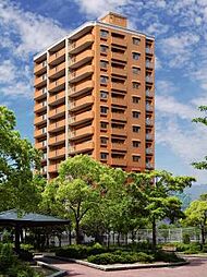 ヴェルディ新広 [パークサイド]