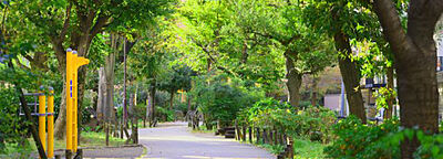 烏山川緑道 約260m（徒歩4分）