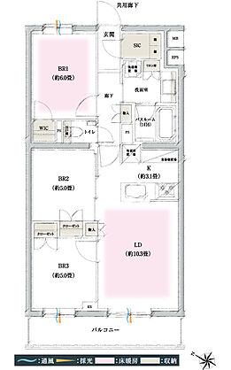 イノバス石神井公園 間取り C