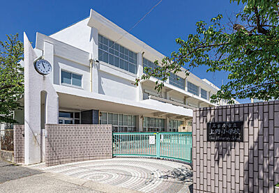 市立上野小学校 約640m(徒歩8分)