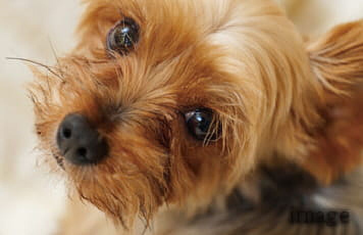 リナージュつくばみらい 設備