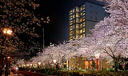 シーンズ京都鴨川河原町