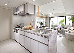 クレヴィア新川崎 専有部