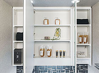 プレサンス ロジェ 庄内通駅前 三面鏡裏収納