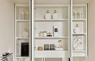 プレサンス ロジェ 姫路パークフロント 三面鏡裏収納