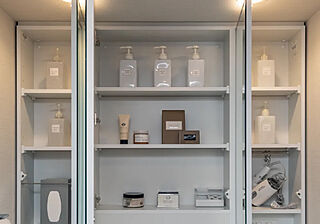 プレサンス ロジェ 塚口ザ・マークス 三面鏡裏収納