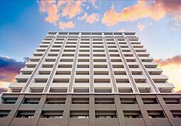 パーク・サンリヤン花畑