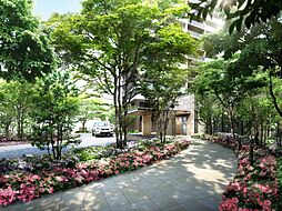 グランフォーリア