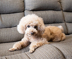 COCOCHI FIRST PROJECT（ココチファースト プロジェクト） 設備