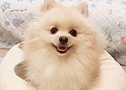 ヴァースクレイシアIDZ千葉 設備