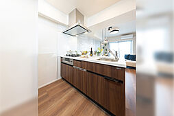 ヴァースクレイシアIDZ千葉 専有部