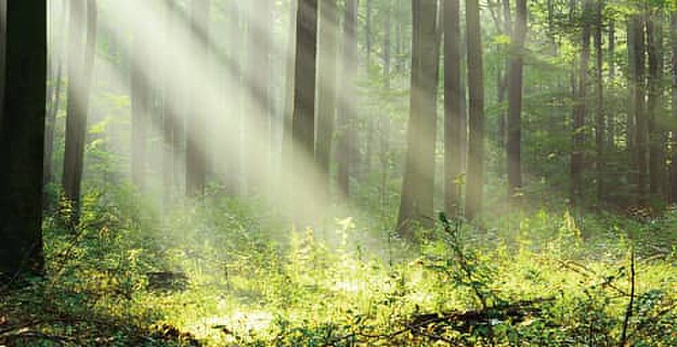 エクセレンシア浜田プレミアムレジデンス 設備