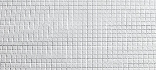 パレステージ横浜鴨居 カラリ床