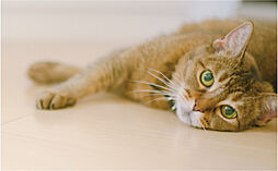 グローベル十条 ザ・レジデンス 設備