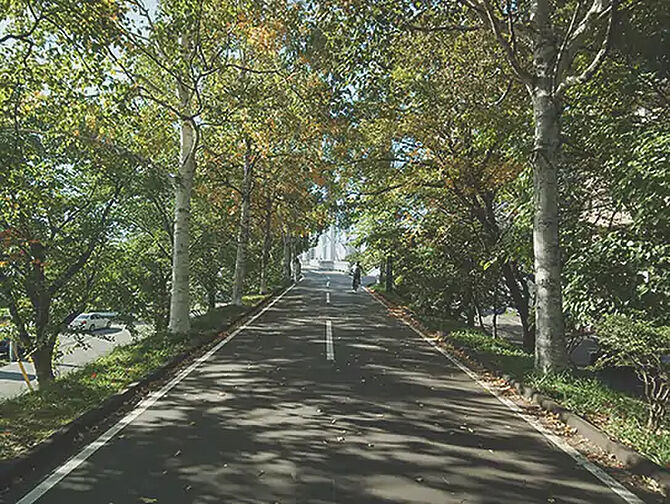周辺環境
