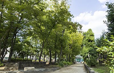 大宮前公園 約590m(北側より徒歩8分)