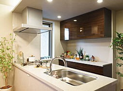 バースシティ・ザ・マーク溝の口 専有部