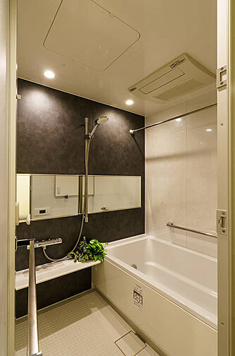 バースシティ・ザ・マーク溝の口 専有部