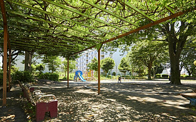 柏ケ谷第二児童公園 約440m（徒歩6分）
