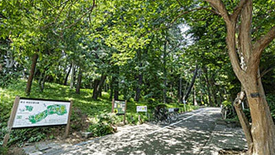 都立林試の森公園 約420m（徒歩6分）