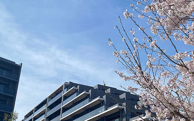 シティハウス小金井公園 外観