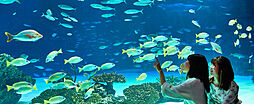 [周辺環境画像] サンシャイン水族館
約410m（徒歩6分）