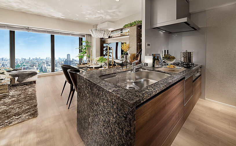 シティタワー天王寺 専有部