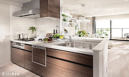 シティテラス柏 専有部