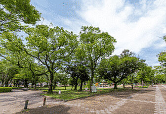 周辺環境
