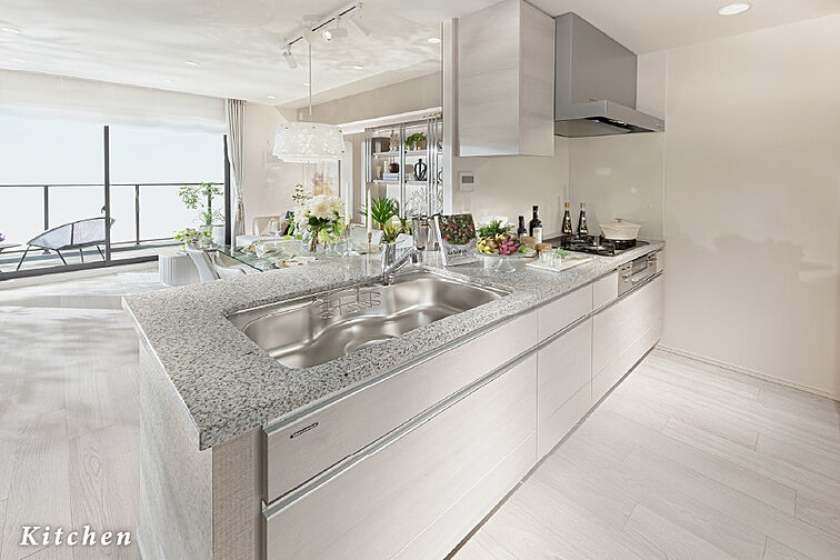 シティテラス多摩川 専有部