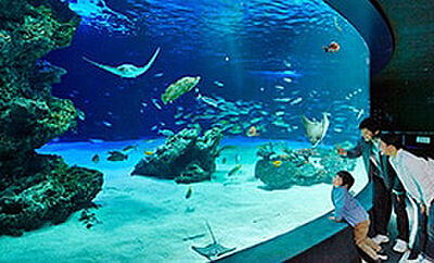 サンシャイン水族館 約330m(徒歩5分)
