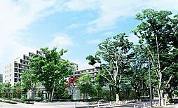 シティテラスひばりが丘